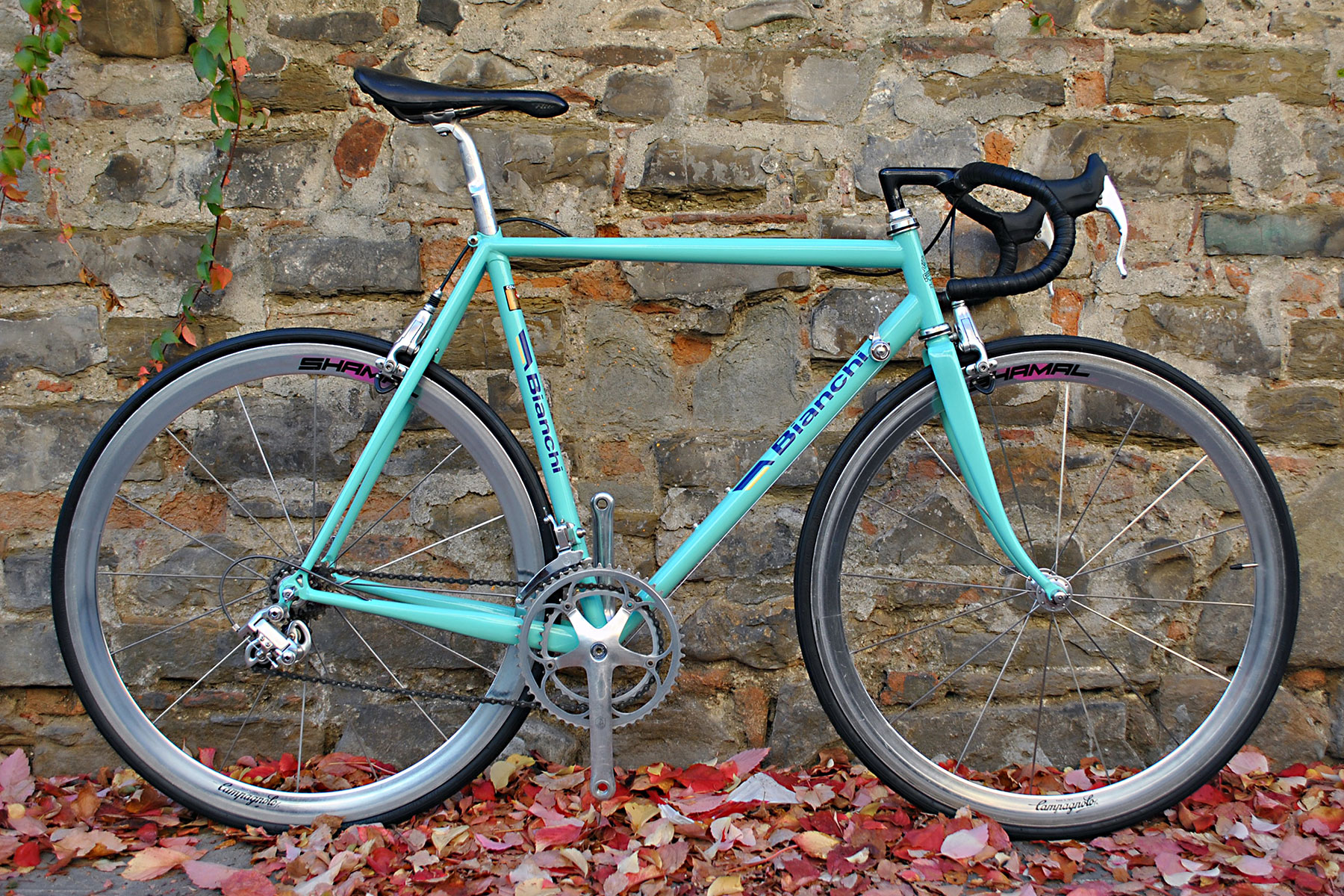 Bianchi_Proto