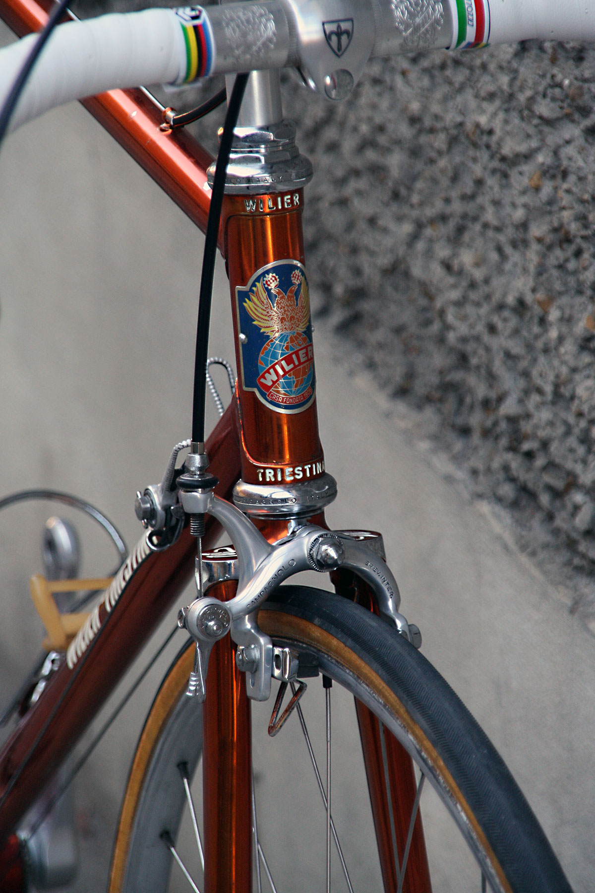 05_wilier_triestina_ramata_campagnolo_oro_record_steel