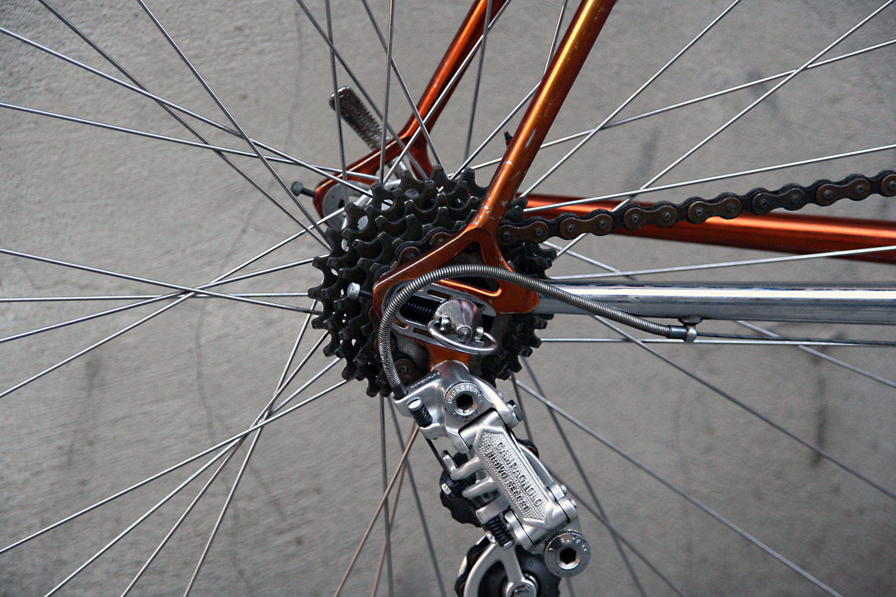 11_wilier_triestina_ramata_campagnolo_oro_record_steel