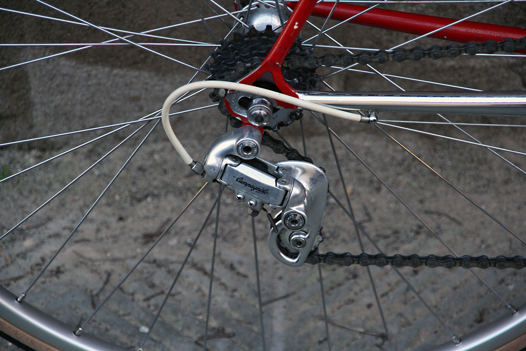 11_daccordi_luigi_campagnolo_chorus_frame_builder_made_italy