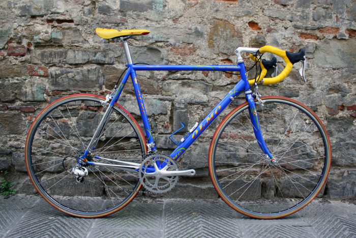 Olmo New Syntex